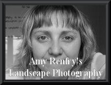 Amy Renfry 